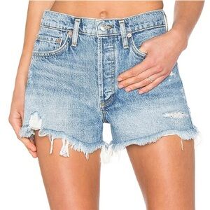 Agolde Parker Vintage Cutoff Shorts in Swapmeet ✧ Size 25